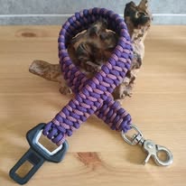 attache sécurité Attache ceinture sécurité